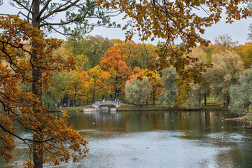Fototapeta premium Beautiful view of a small bridge in a park in golden autumn. Selective focus.