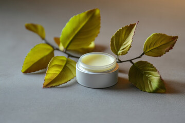 A creamy moisturizer jar sits peacefully beside vibrant, fresh green leaves, placed on a soft, smooth grey surface. The natural elements and gentle lighting create a calming, serene setting for