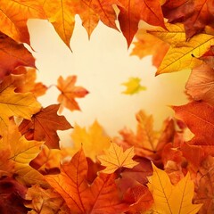 Obraz premium autumn leaves background