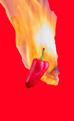 Red pepper with flames behind it on a red background.