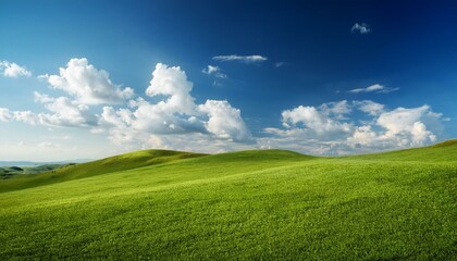 Obraz premium landscape with grass and sky