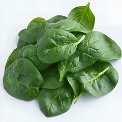 Obraz premium Fresh spinach leaves on a white background.