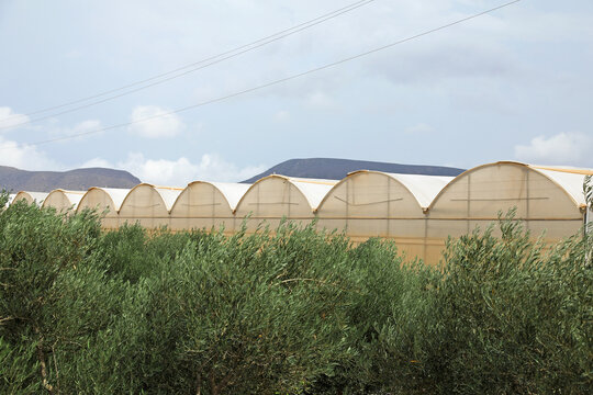 invernadero exterior carretera agricultura Almer&iacute;a Andaluc&iacute;a 4M0A3125-as24