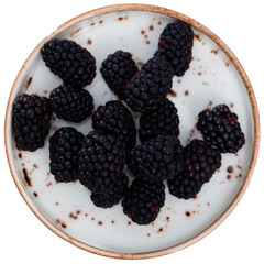 Sweet large black mulberry fruits are prepared for eating. Healthy vitamin dessert, berry harvest....