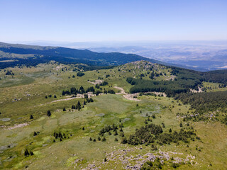 Vitosha Mountain near Kamen Del Peak, Bulgaria