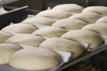 Сlose up of raw dough prepared for baking