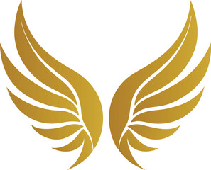 golden wings vector illustration 