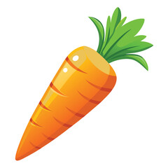 Carrot vector illustration on a white background