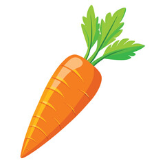 Carrot vector illustration on a white background