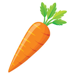 Carrot vector illustration on a white background