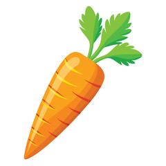 Carrot vector illustration on a white background