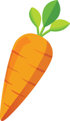 Carrot vector illustration on a white background