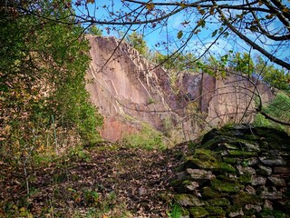 Natur