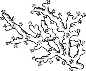 Coral reef branch drawing. Underwater nature polyp