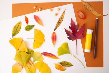 autumn leaves, yellow, red, green, scattered leaves, step in creative process, DIY, fall project,...
