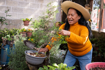 Mexican adult woman doing gardening