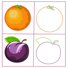 Fruit coloring page for little children plum and orange