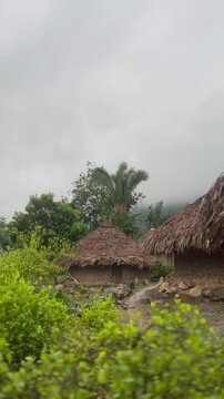 Detalle de techos de chozas en pueblo ind&iacute;gena Kogui de la Sierra Nevada de Colombia