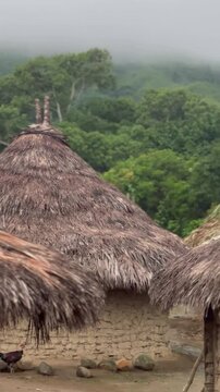 Detalle de techos de chozas en pueblo ind&iacute;gena Kogui de la Sierra Nevada de Colombia