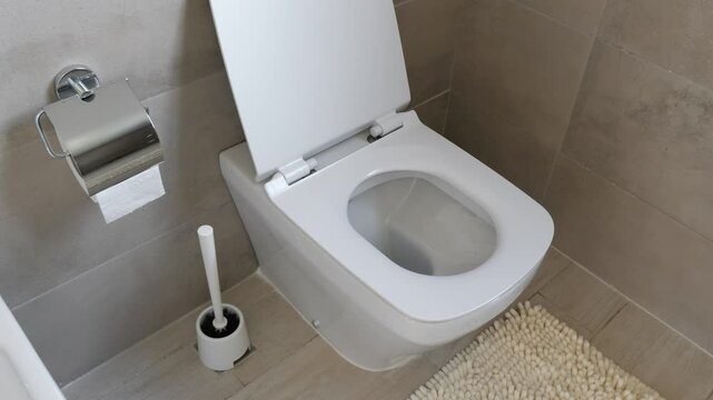 White ceramic toilet at luxury bathroom, nobody