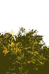 Green jungle plant border spring background - copy space design