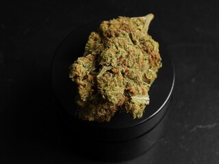 marihuana The Herb of Harmony cannabis coffeeshop Netherlands medicine ayurvedic ancient healing 