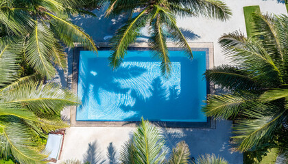 Swimming pool with palm trees in the background