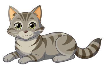 Lying kitten cat isolated on white background