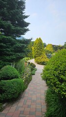 Cool path in the green forest