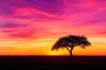 Silhouette of a lone tree in an open field, with a vibrant sunset casting orange and pink hues across the sky, capturing the beauty of nature in twilight