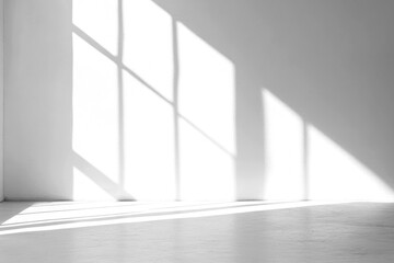 Obraz premium PNG Minimalist shadows white floor.