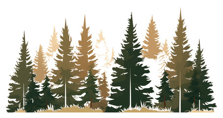 Fototapeta premium PNG Forest outdoors woodland nature.