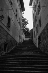 Old medieval Narrow street with old trattoria in Florence, Tuscany, Italy. Architecture and landmark of Florence. Cozy cityscape. Florence, Italy 06.01.2024