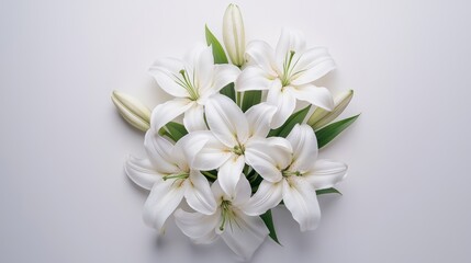Naklejka premium Delicate white lilies in full bloom, arranged elegantly on a clean white background, showcasing soft petal textures and gentle lighting, viewed from above