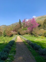 Beautiful garden path in Italy.