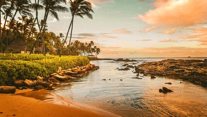 Hawaii Beach