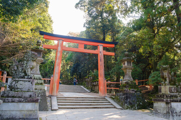 春日大社の境内　参道