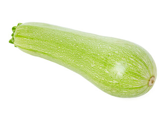 One fresh ripe zucchini isolated on white