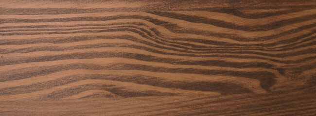 Texture of walnut wood surface, closeup. Banner design