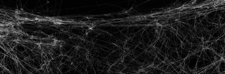White cobweb on black background, banner design