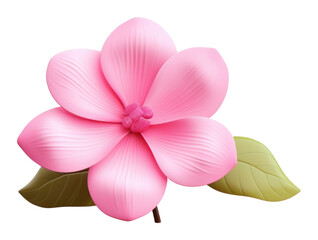 Fototapeta premium PNG Pink flower blossom petal plant.