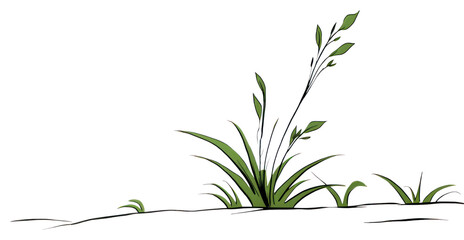 Naklejka premium PNG Plant sketch grass line.