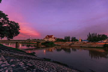 Naklejka premium natural background of many species of plants that are laid out in the park, for the propagation of the species and to provide shade for those who stop by while traveling to study the ecology.