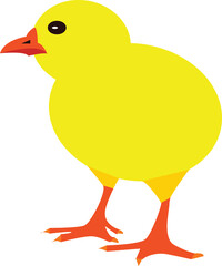 A vector art of a chick.