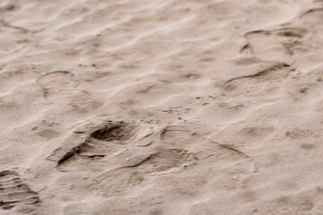 Fondo de pantallas, jardin de fondo de pantalla, pisada de arena, ventana de fondo 