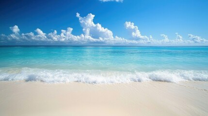 Fototapeta premium Nature's Harmony: Ocean Meets Desert in High Definition