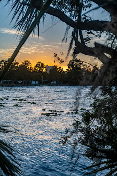 Sunset views over Byron Lake create a mesmerizing scene, with the golden light reflecting off the calm waters. The silhouette of trees and the soft colors in the sky bring out the peaceful, serene bea