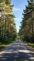 Fototapeta premium Serene Straight Road Cutting Through a Lush Dense Forest with Tall Trees