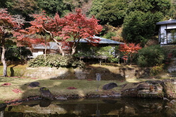 Fototapeta premium 鎌倉、秋の風景。妙香池・正統庵
