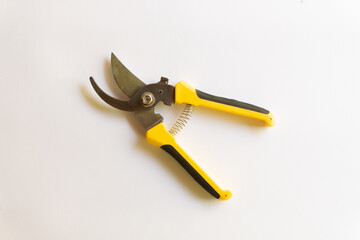 Pruning scissors. Garden trimmer. Scissors for working in the garden with various layouts isolated on a white background.